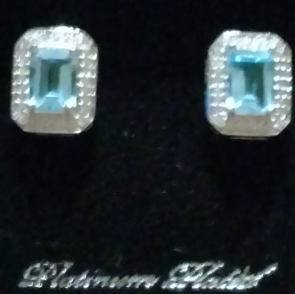 Elegant Silver and Blue Gemstone Earrings